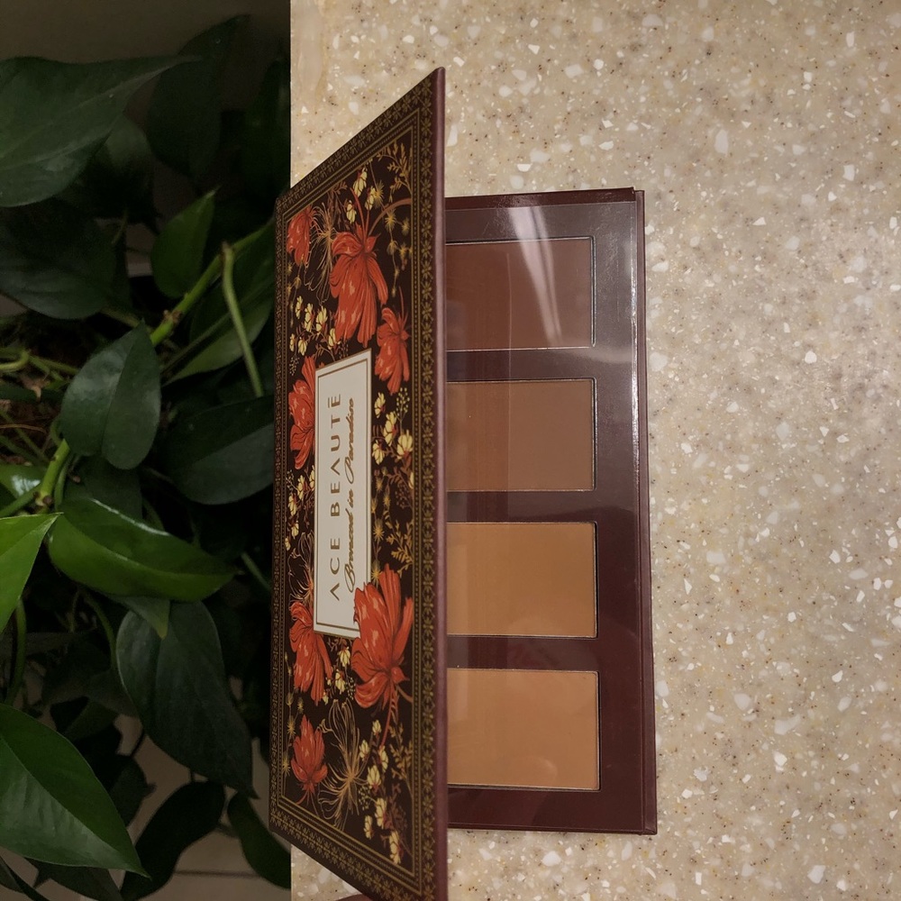 Bronzed In Paradise Palette Ace Beaute